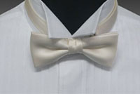 Bowtie BF-203