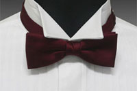 Bowtie BF-510