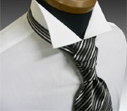 Ascottie Y-981