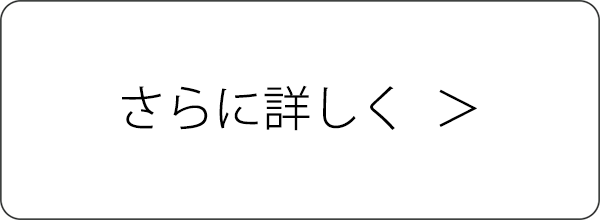 更に詳しく