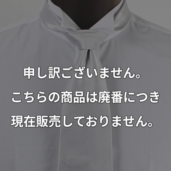VANNERSネクタイ シルバー サテン VN-10