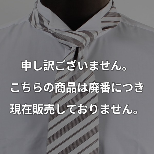 VANNERSモーニングネクタイ グレー ストライプ VN-11
