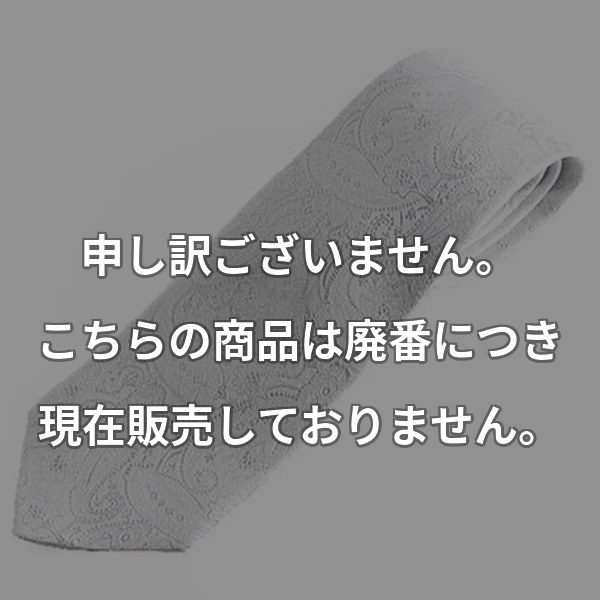VANNERSハンドメイドタイ ホワイトペイズリー HVN-15